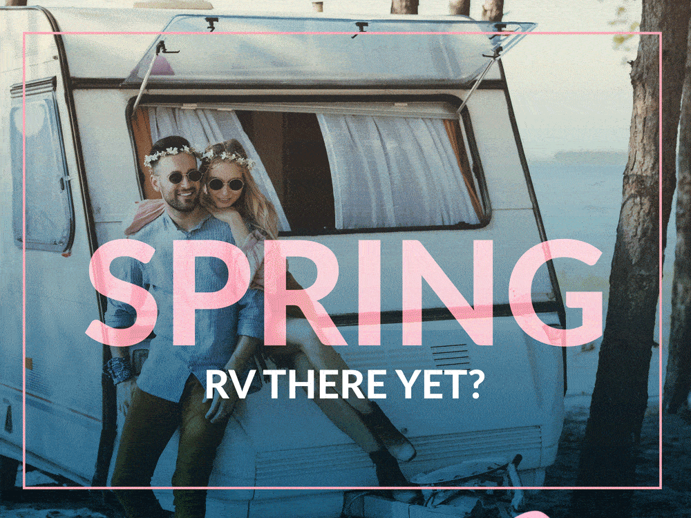 Spring-MFU My Financing USA Branding - Joanna Davis Designs